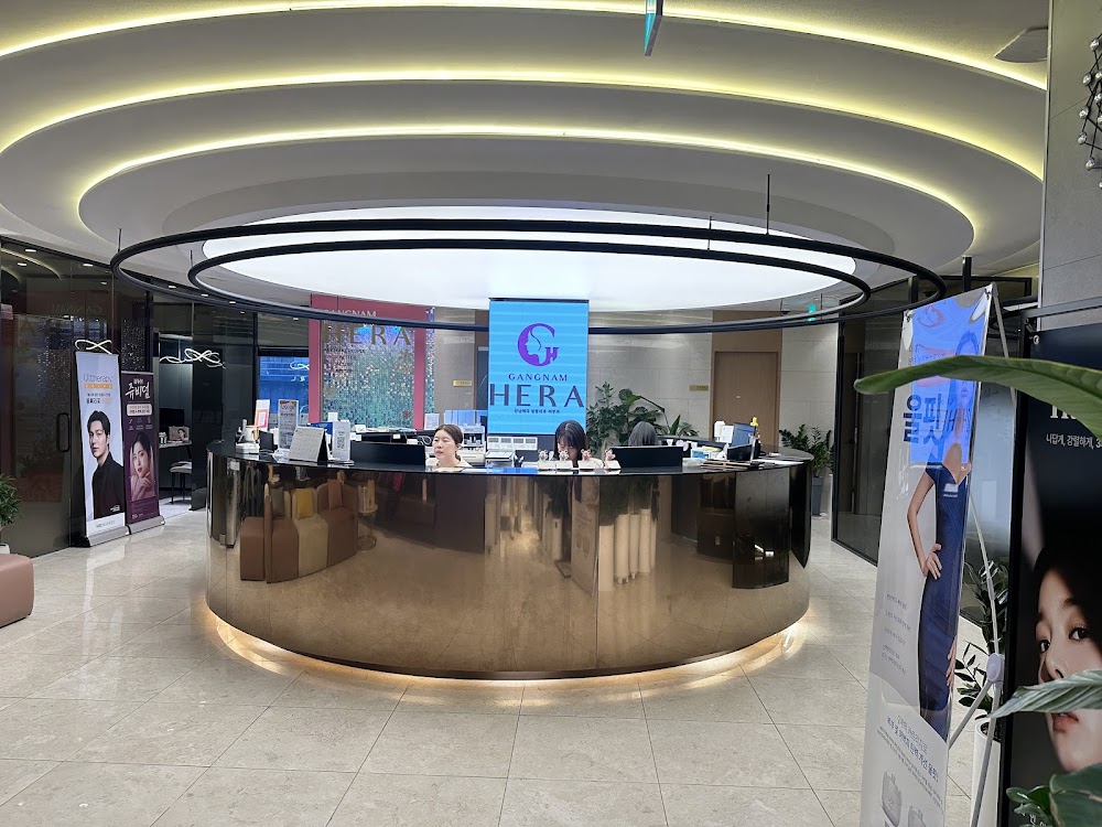 Gangnam Hera Lifting & Filler Clinic (江南ヘラクリニック) | Seoul, Korea — clinic photo 2