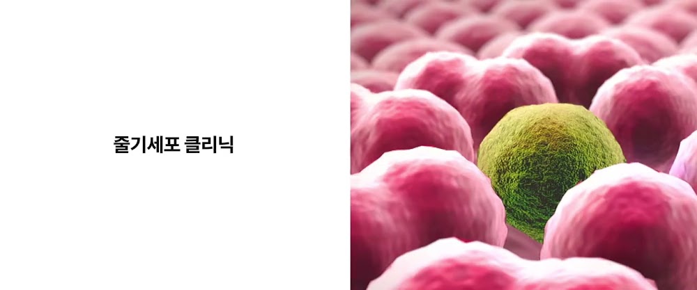 SINSOE Women's Clinic: English-speaking OBGYN Seoul — clinic photo 3