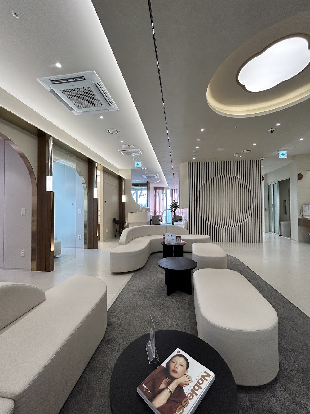 Lienjang Plastic Surgery & Dermatology Gangnam Main Branch — clinic photo 2