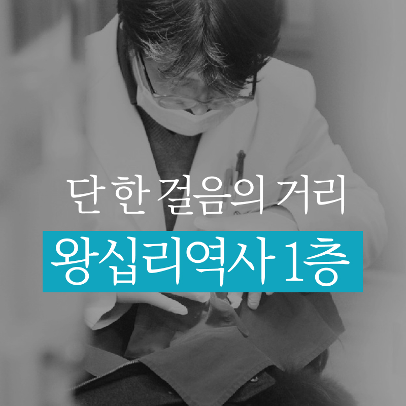 Seoul future dental clinic — clinic photo 2