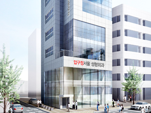 Apgujeong Seoul Plastic Surgery Clinic clinic
