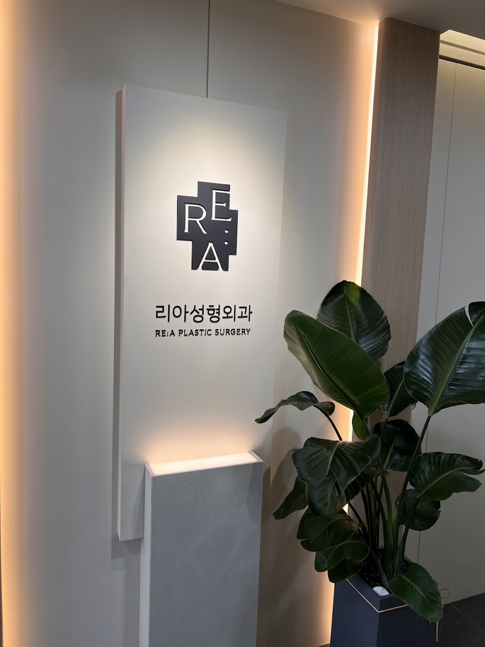REA Plastic Surgery 리아성형외과 — clinic photo 2