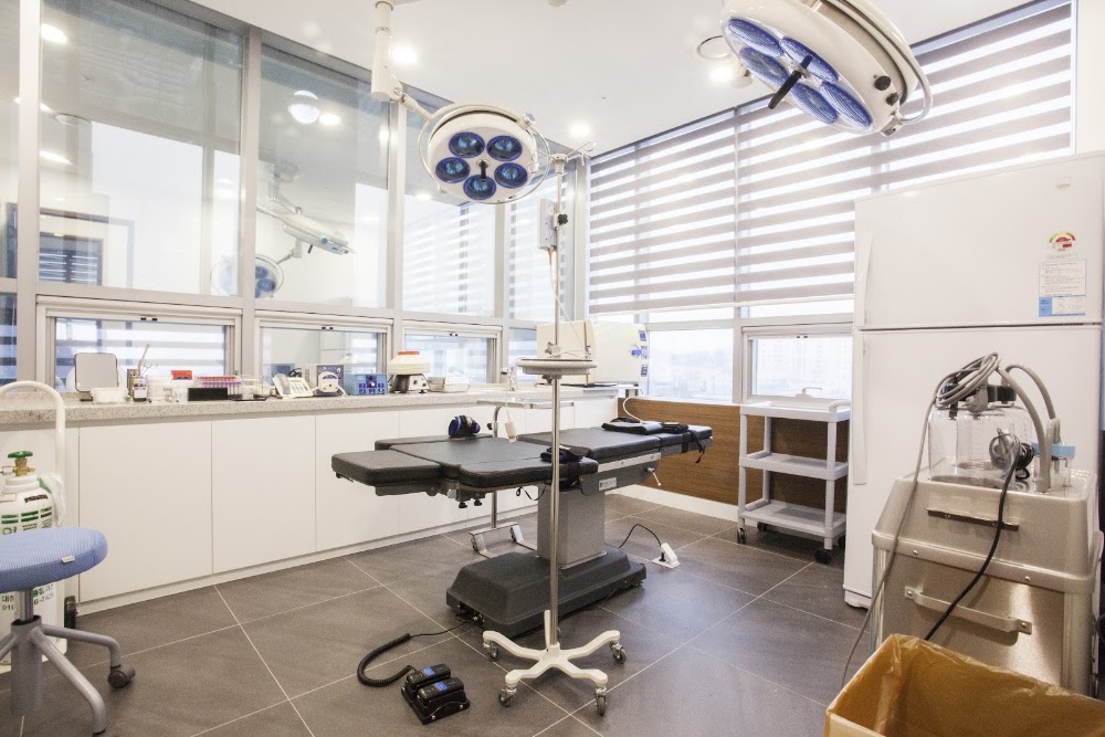 111 Dermatology Cosmetic Surgery — clinic photo 3