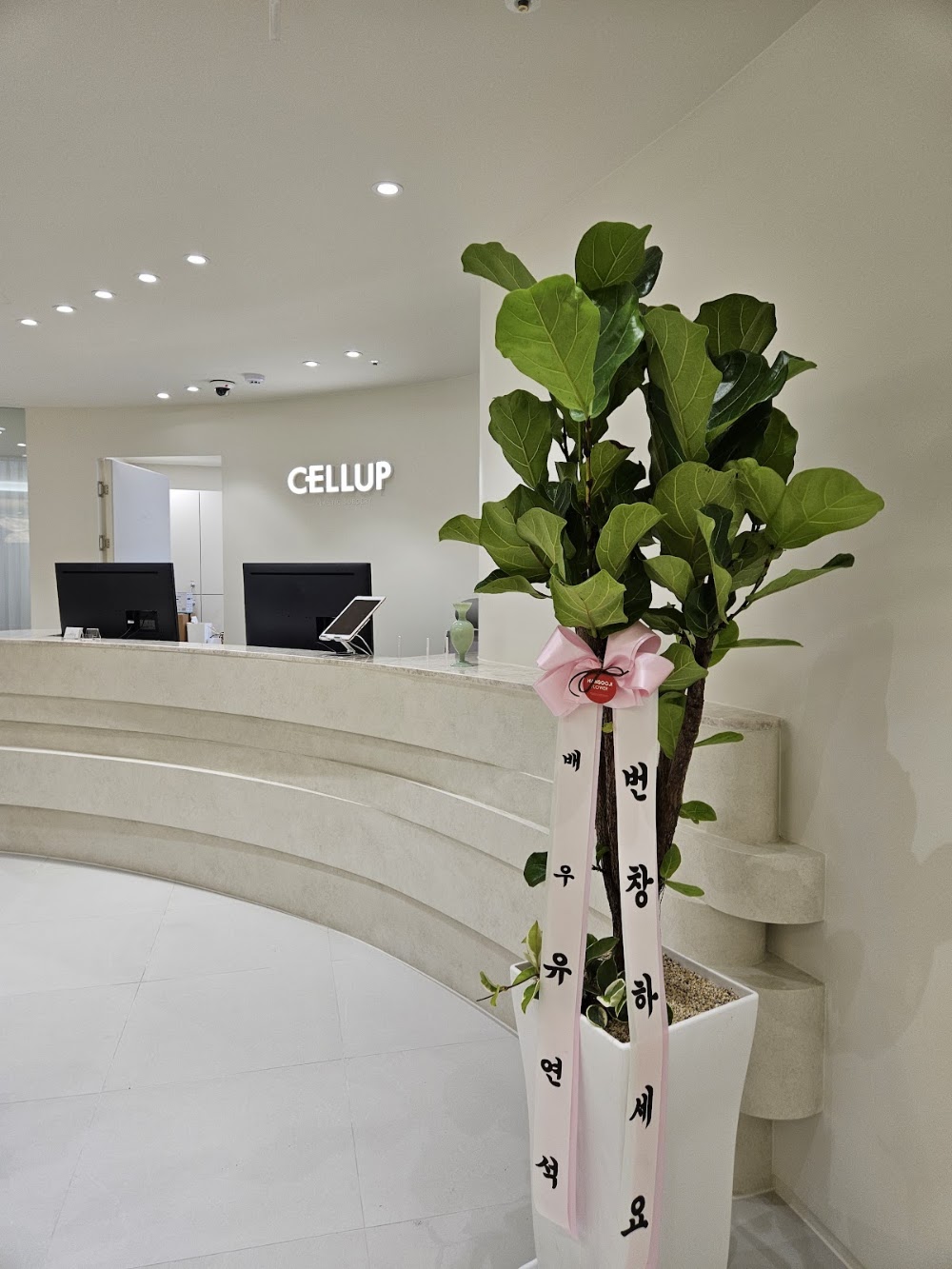 Cellup Plastic Surgery Cheongdam — clinic photo 2