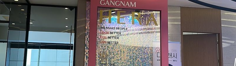 Gangnam Hera Lifting & Filler Clinic (江南ヘラクリニック) | Seoul, Korea clinic