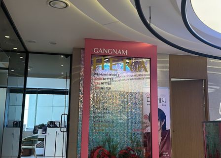 Gangnam Hera Lifting & Filler Clinic (江南ヘラクリニック) | Seoul, Korea — clinic photo 1