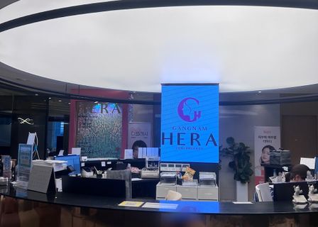 Gangnam Hera Lifting & Filler Clinic (江南ヘラクリニック) | Seoul, Korea — clinic photo 3