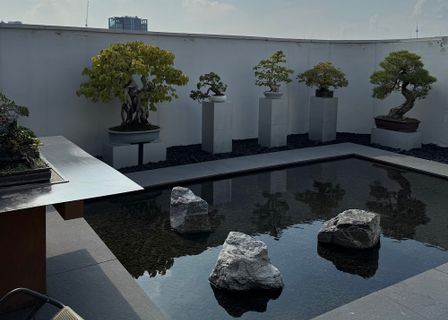 JN Plastic Surgery — clinic photo 2