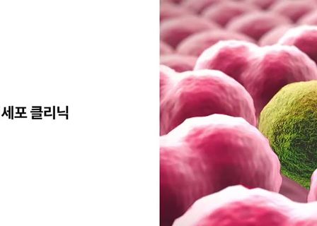 SINSOE Women's Clinic: English-speaking OBGYN Seoul — clinic photo 3