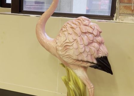 Yellow Plastic Surgery — clinic photo 3