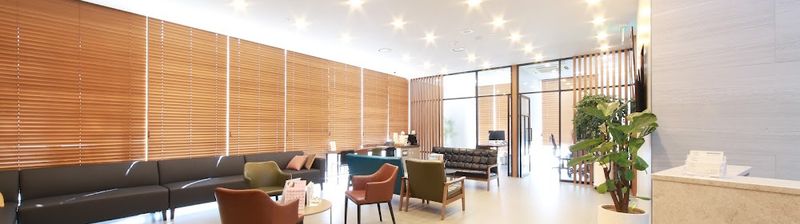 라이크성형외과의원 (LIKE Plastic Surgery in korea) clinic