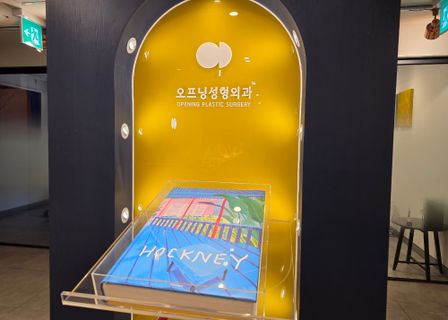 Opening Plastic Surgery Clinic — clinic photo 3
