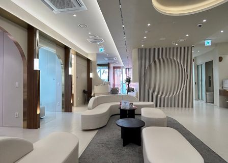Lienjang Plastic Surgery & Dermatology Gangnam Main Branch — clinic photo 2