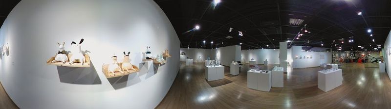 Kara Plastic Surgery clinic