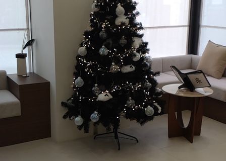 The Sinsa Clinic — clinic photo 1