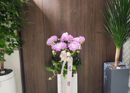 Area 88 Plastic Surgery Clinic — clinic photo 3