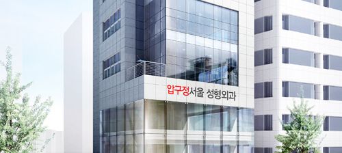 Apgujeong Seoul Plastic Surgery Clinic clinic