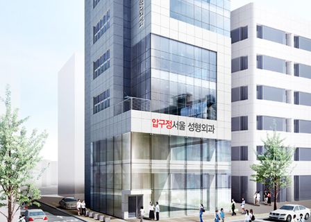 Apgujeong Seoul Plastic Surgery Clinic — clinic photo 1