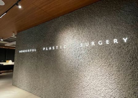 Wonderful Plastic Surgery Clinic — clinic photo 1