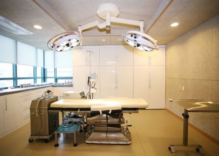 Sehyeon Plastic Surgery — clinic photo 1