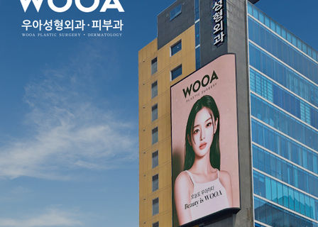 WOOA Plastic Surgery & Skin Clinic Seoul — clinic photo 2