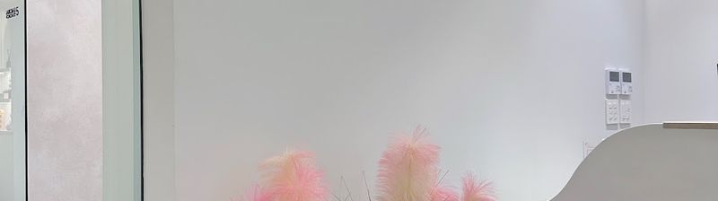 명동 뮤즈의원 MUSE Clinic Myeongdong 缪斯整容醫院(明洞) clinic