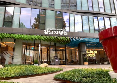 Gangnam Char Women’s Hospital — clinic photo 1