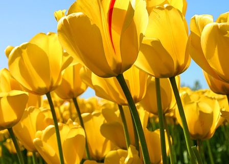 Chai Jeong Plastic Surgery — clinic photo 1