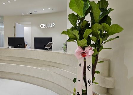 Cellup Plastic Surgery Cheongdam — clinic photo 2